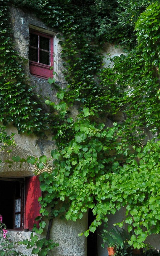 La Magnanerie Maison Troglo à Bourré