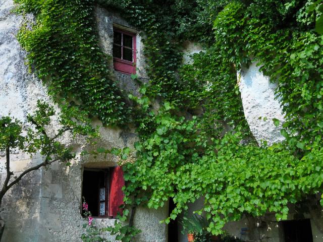 La Magnanerie Maison Troglo à Bourré