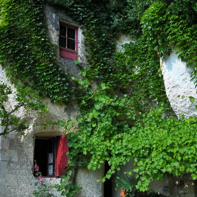 La Magnanerie Maison Troglo à Bourré