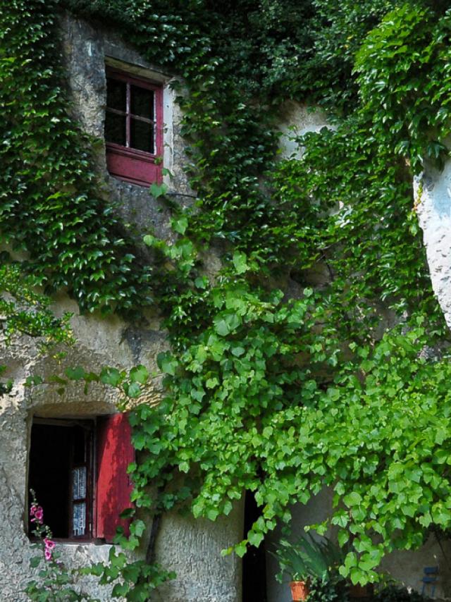 La Magnanerie Maison Troglo à Bourré