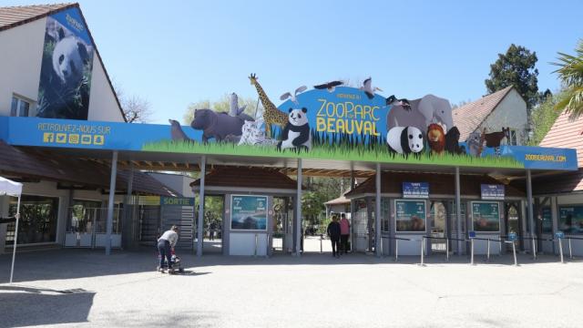 Billetterie Tarifs Zoo Beauval