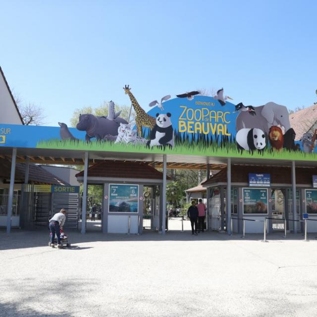 Billetterie Tarifs Zoo Beauval