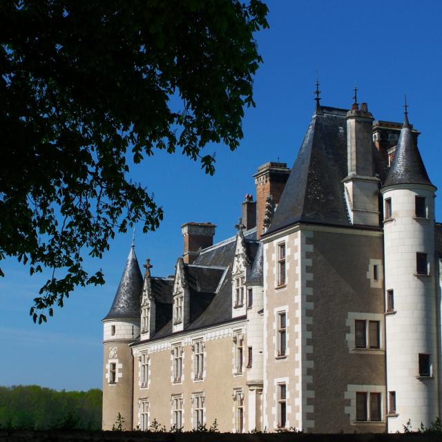 Château de Montpoupon 