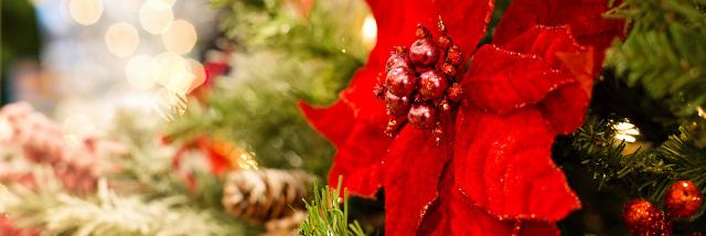 Vivez des moments magiques à Noël dans les Châteaux de la Loire