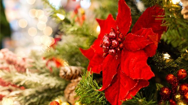 Vivez des moments magiques à Noël dans les Châteaux de la Loire