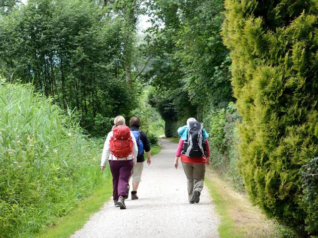 Randonnée pied en Sud Val de Loire