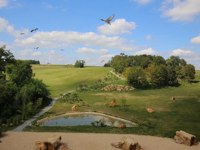 Les Maîtres des Airs, spectacle au ZooParc de Beauval