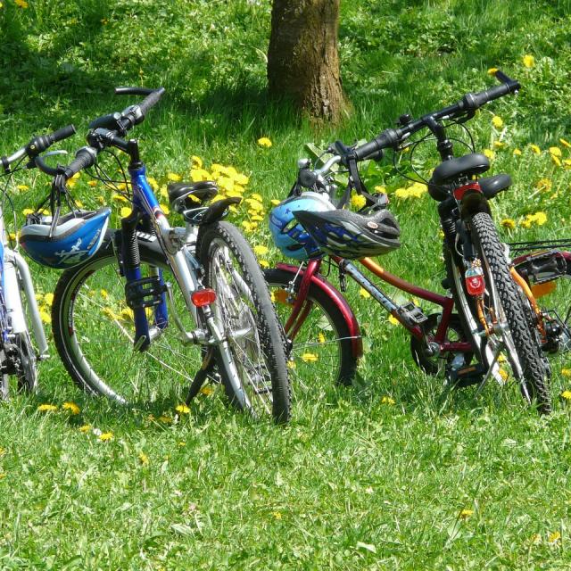 randonnées à vélo en Sud Val de Loire