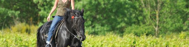 Randonnée à cheval en Sud Val de Loire