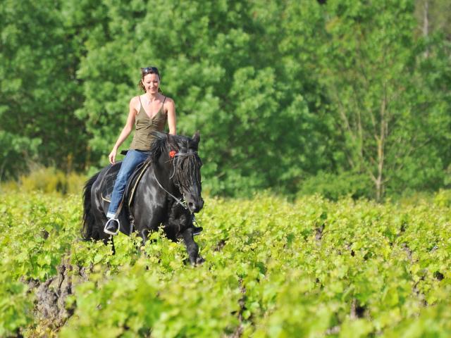 Randonnée à cheval en Sud Val de Loire