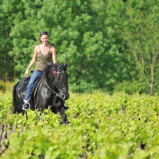 Randonnée à cheval en Sud Val de Loire