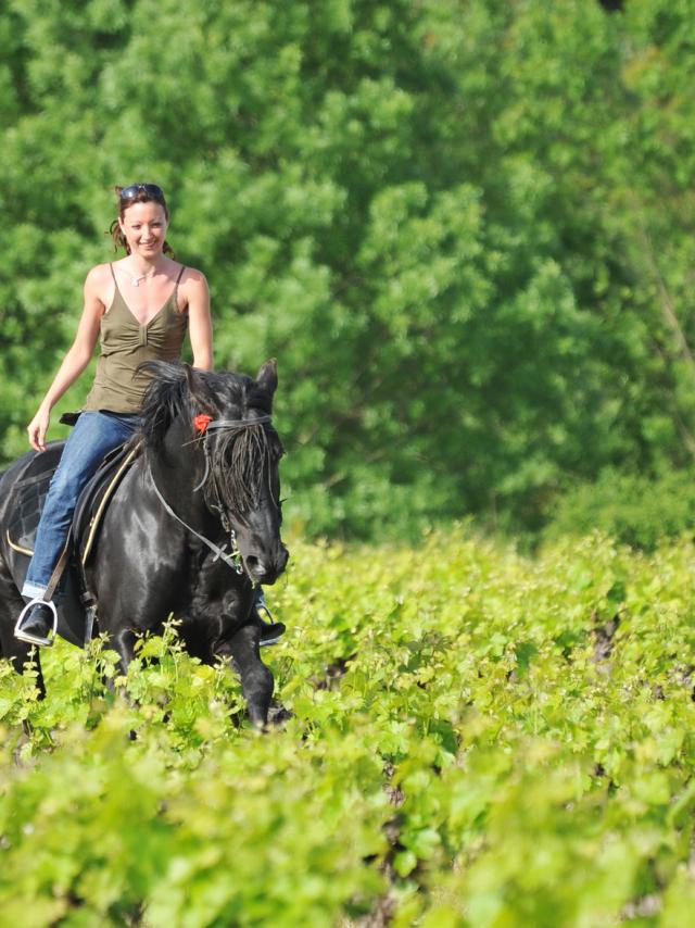 Randonnée à cheval en Sud Val de Loire