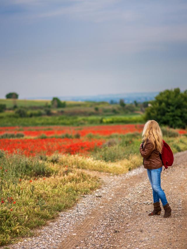 Sud Val De Loire Naturellement