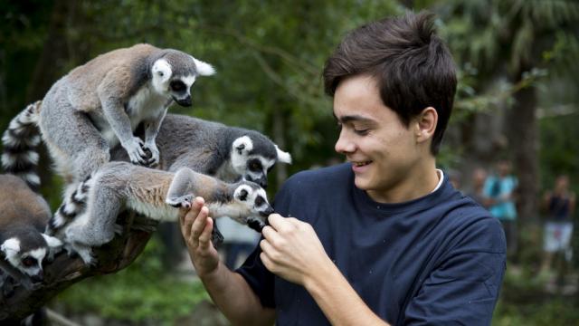 Beauval pour les enfants