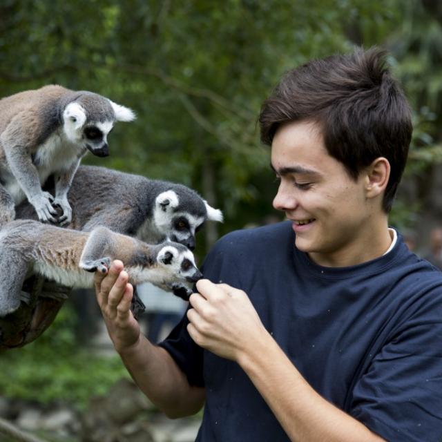 Beauval pour les enfants