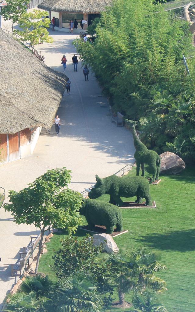 Zoo De Beauval Amenagements (2)