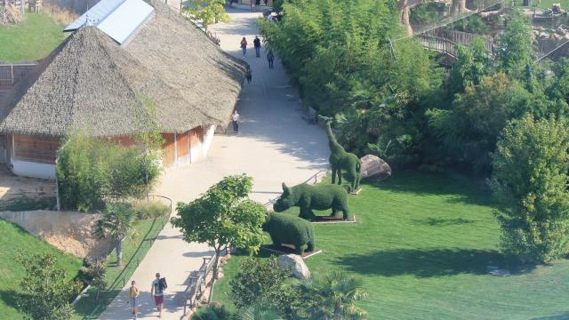 Zoo De Beauval Amenagements (2)