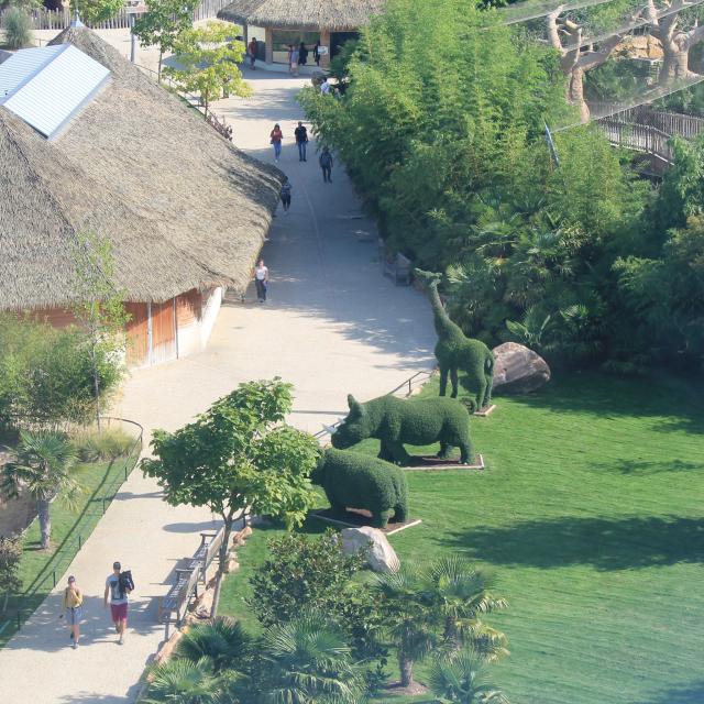 Zoo De Beauval Amenagements (2)