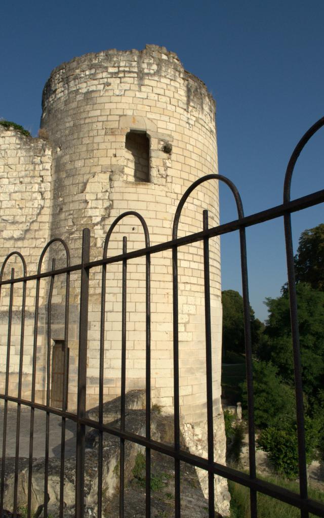 Chateau Saint Aignan Sud Valdeloire Loire (5)