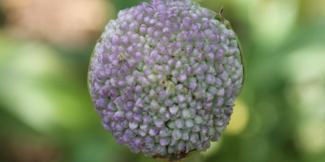 chaumont-sur-loire-festival-jardins-5-rotated.jpg